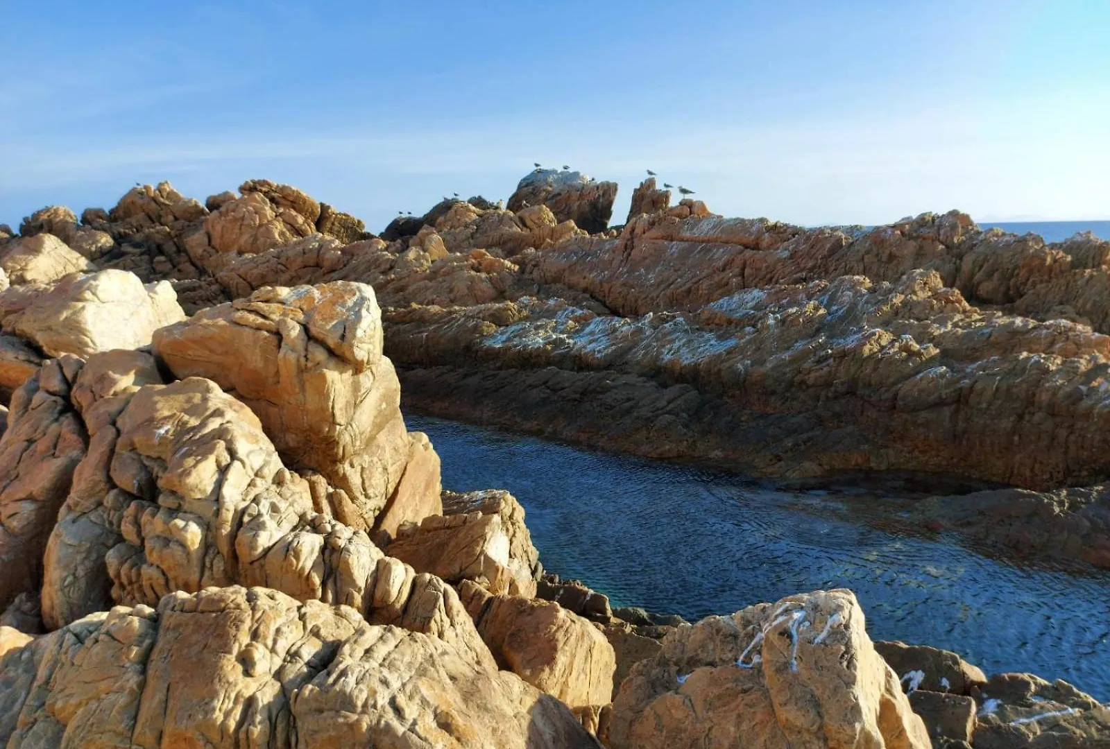 Rocky Bay On The View Βίλα Gordonʼs Bay Σπίτι διακοπών